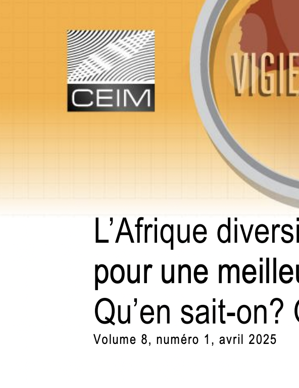 L'Afrique diversifie ses partenariats stratégiques pour une meilleure gouvernance. Où en est-on ? Qu'en sait-on ? Qu'en dit-on ?