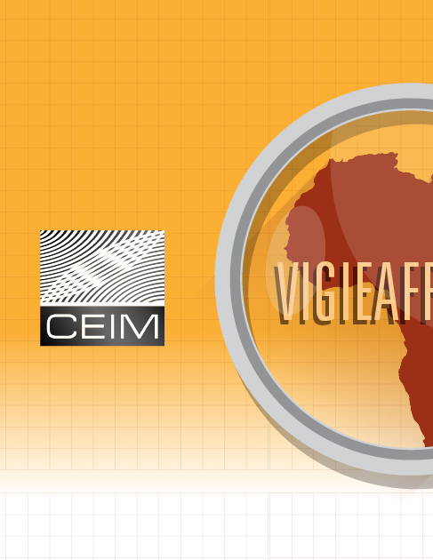 Droit et crises dans les Afriques