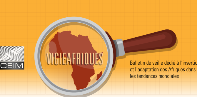 Les Afriques en 2023 : Rétrospection et projection