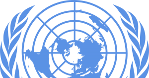 L'ONU : Les défis de demain 