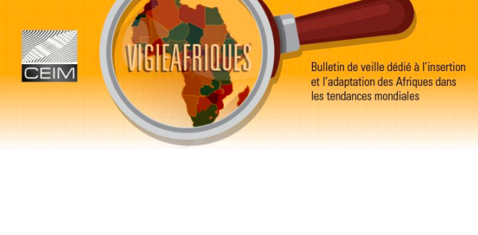 Centre d'analyse et de prospective sur les Afriques (CAP-Afriques)