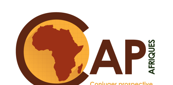 Appel à propositions | L'État dans les Afriques : État des lieux